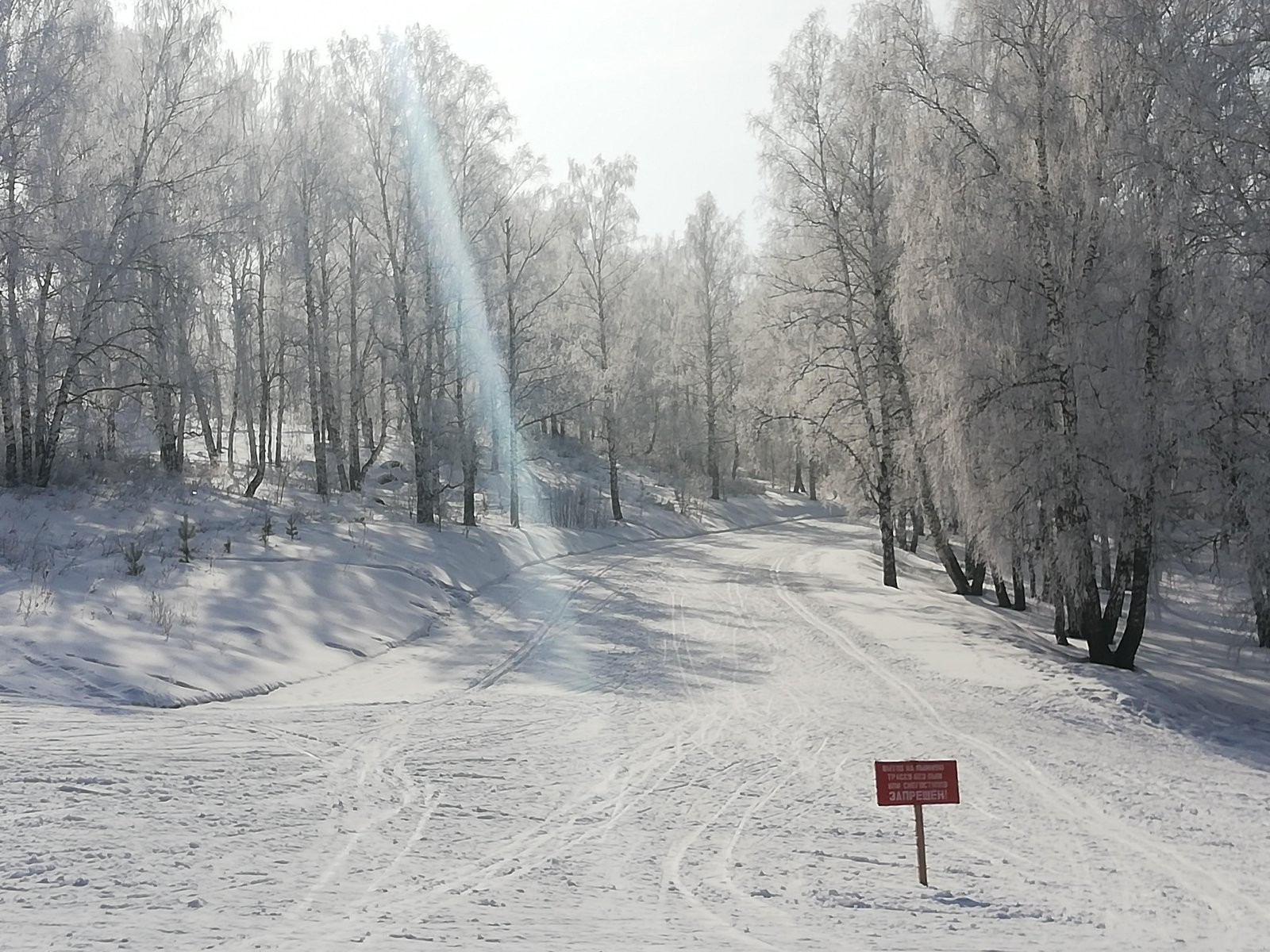 Локомотив, лыжная база - №1